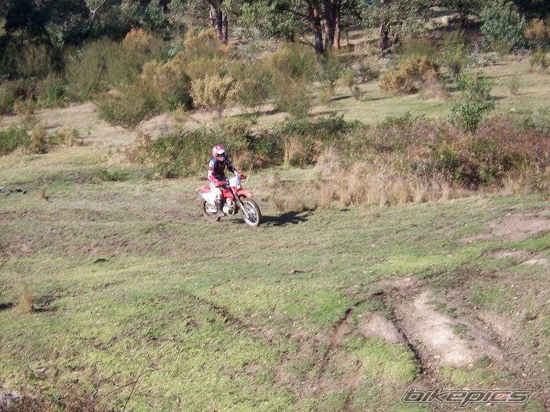 Bike Photo 381457