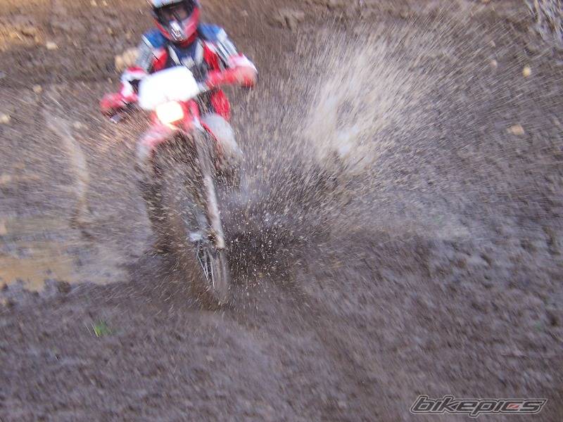 Bike Photo 381459