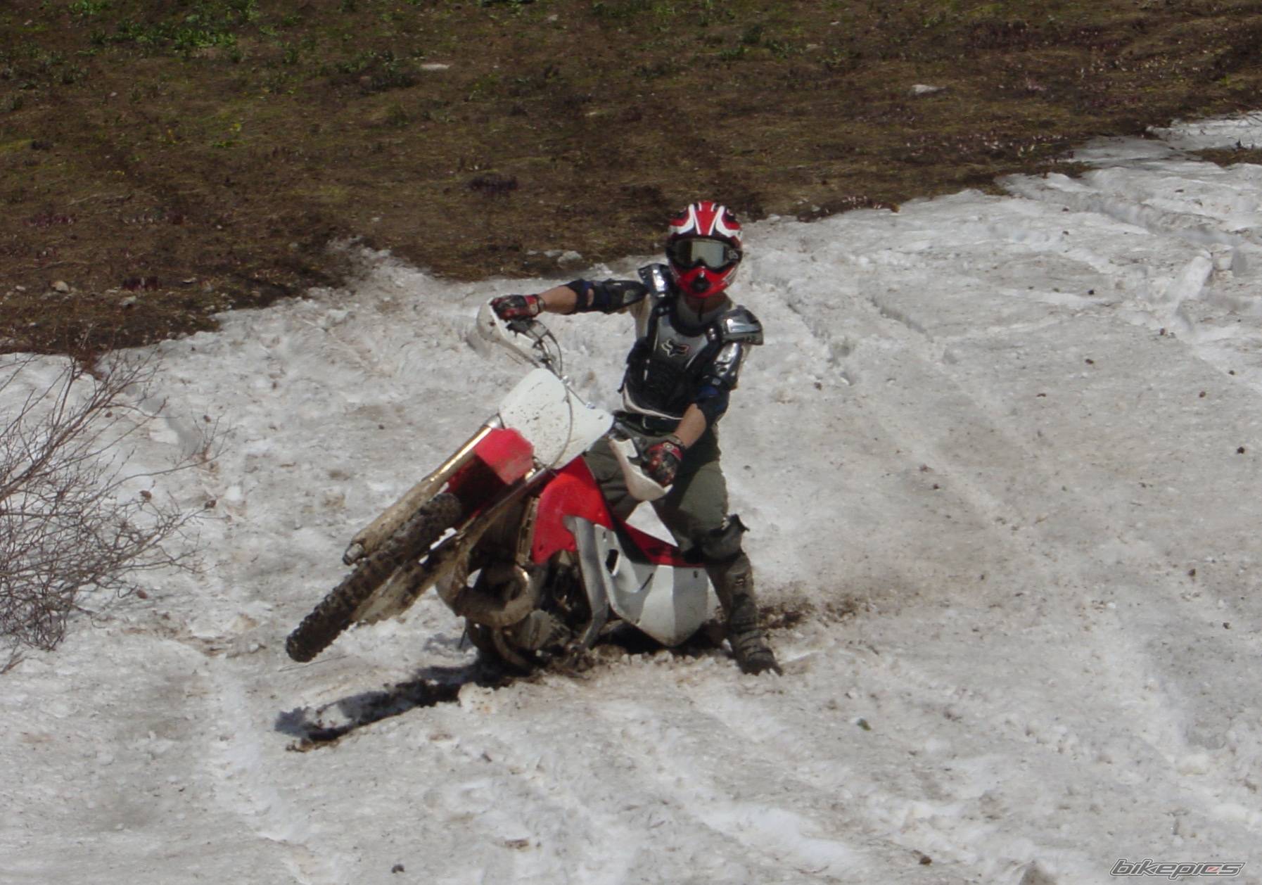 Bike Photo 381484