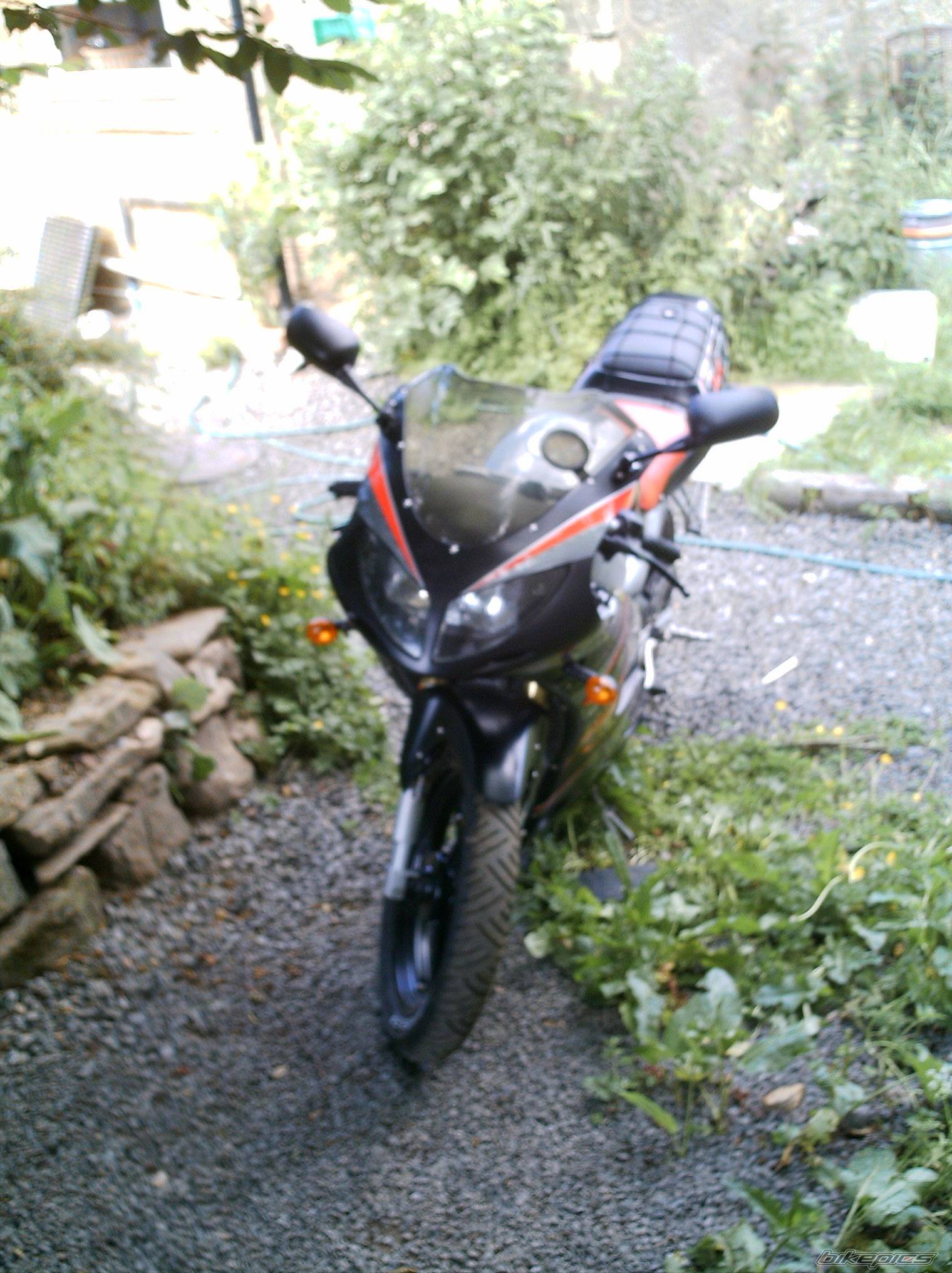 Photo 381529