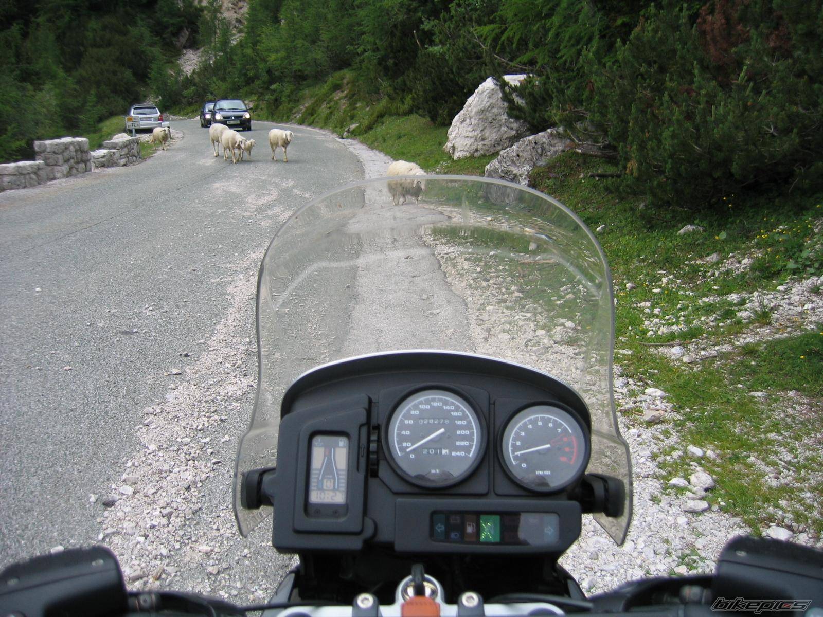 Bike Photo 381694