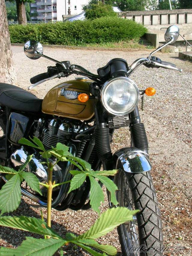 Bike Photo 381749