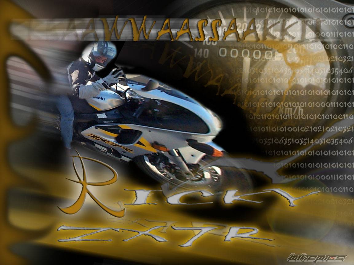 Bike Photo 381835