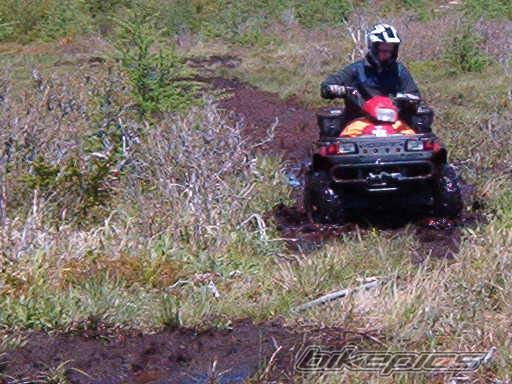 Photo 381852