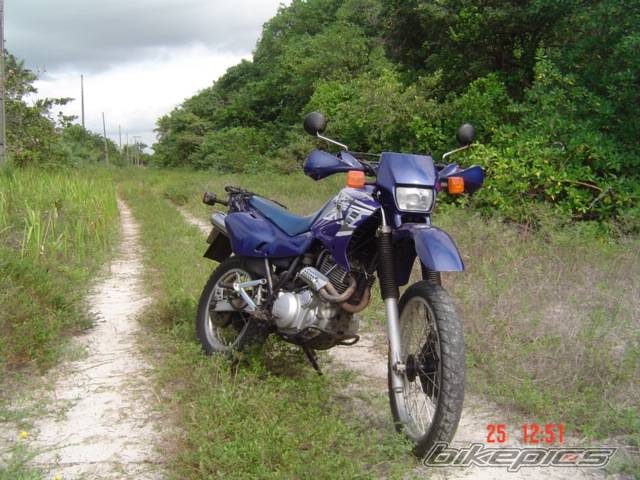 Photo 381896