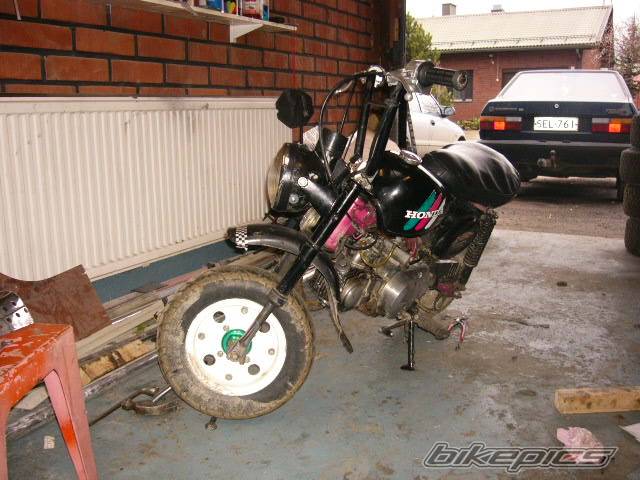 Photo 382002