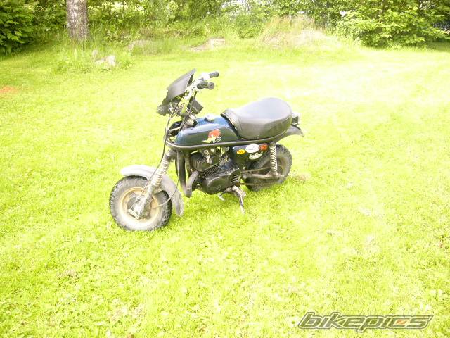 Photo 382010