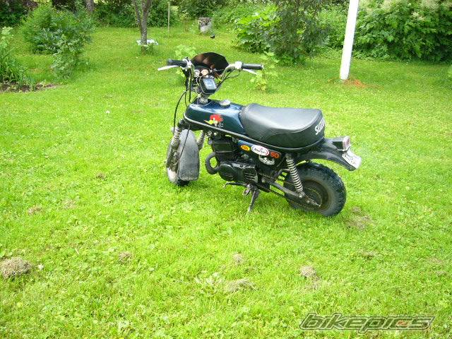 Photo 382011