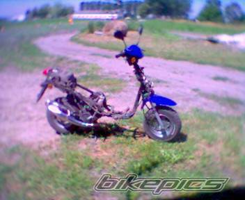 Photo 382064