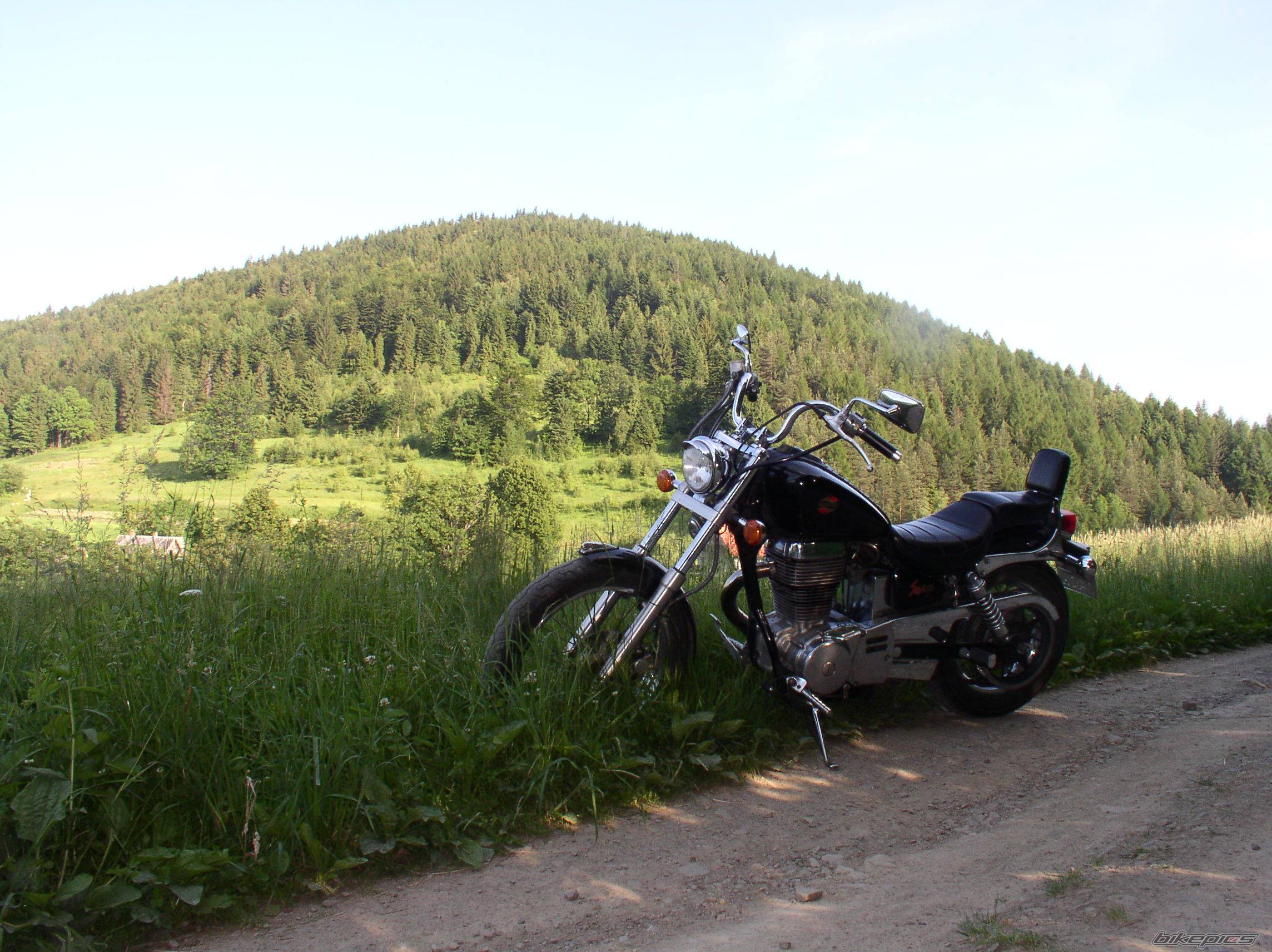 Bike Photo 382114