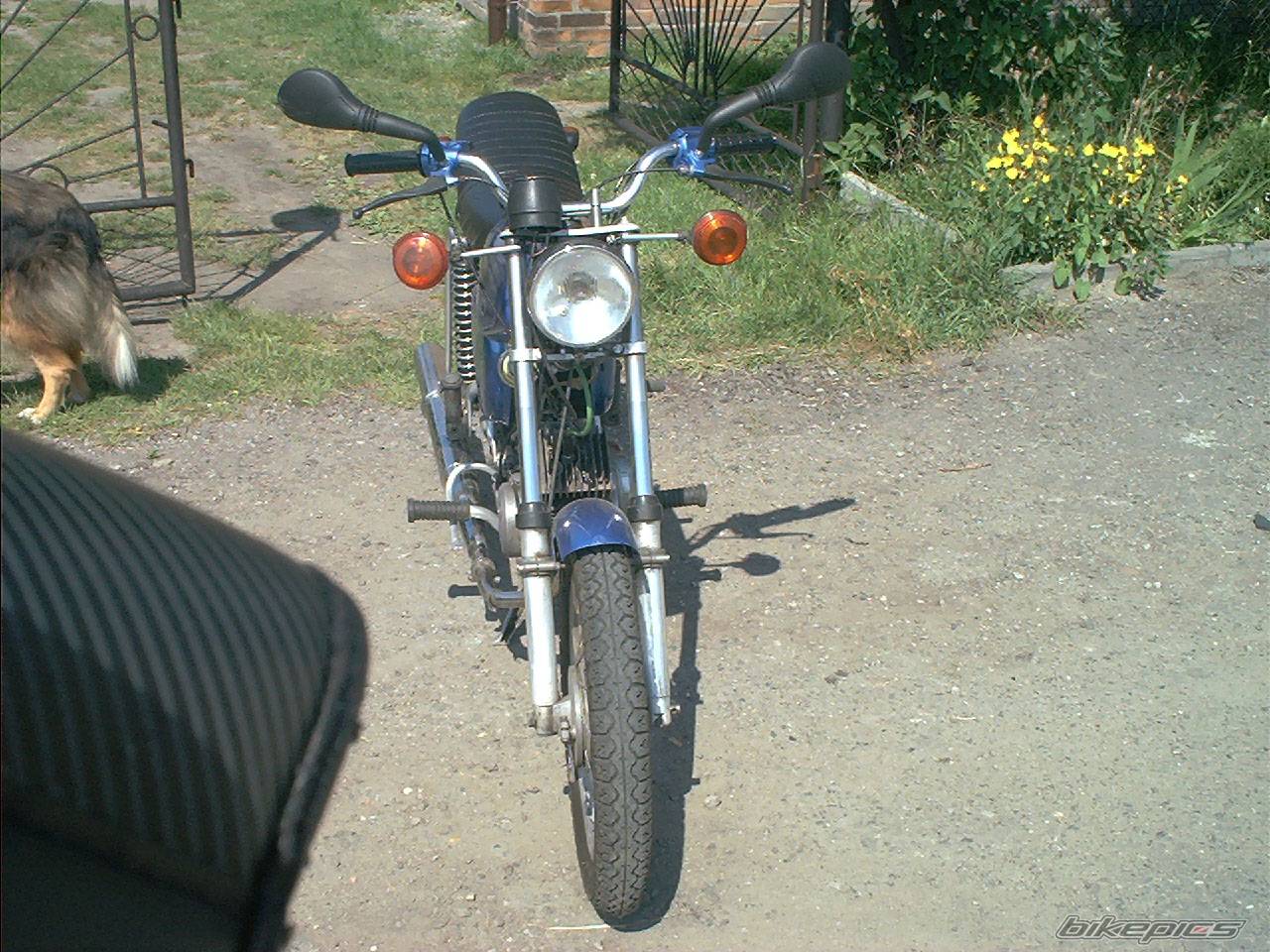 Bike Photo 382312