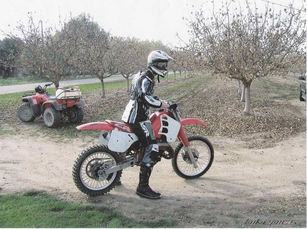 Bike Photo 382339