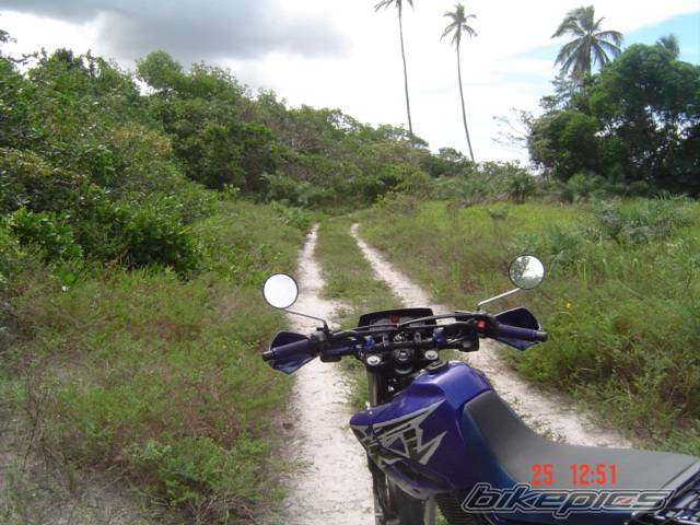 Photo 383027