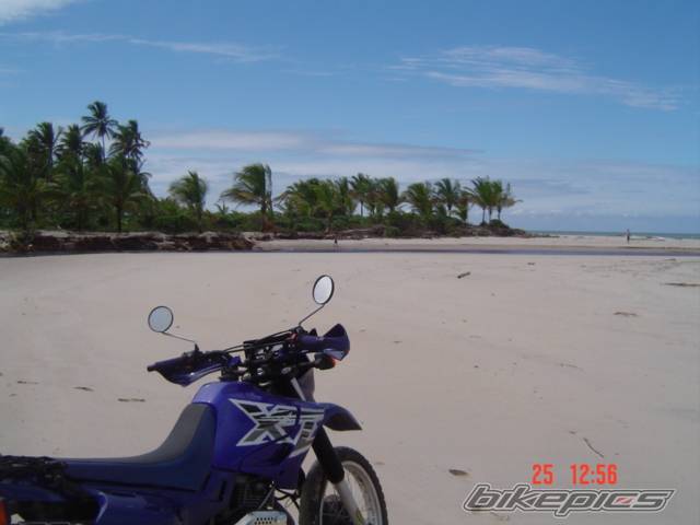 Photo 383042