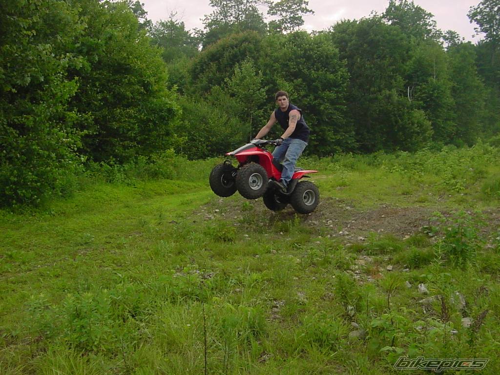 Photo 383124