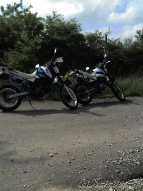 Photo 383212