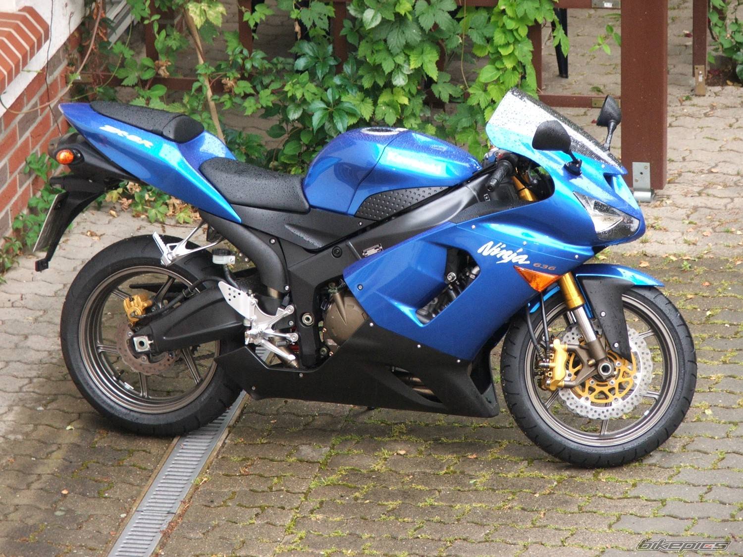 Bike Photo 383565
