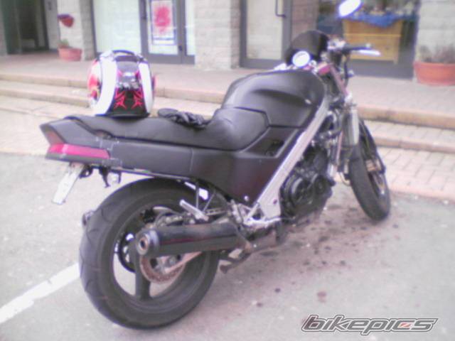 Photo 383659