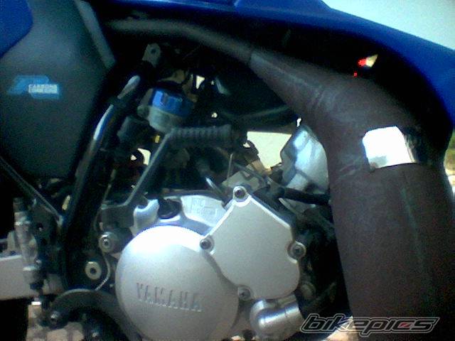 Photo 383688