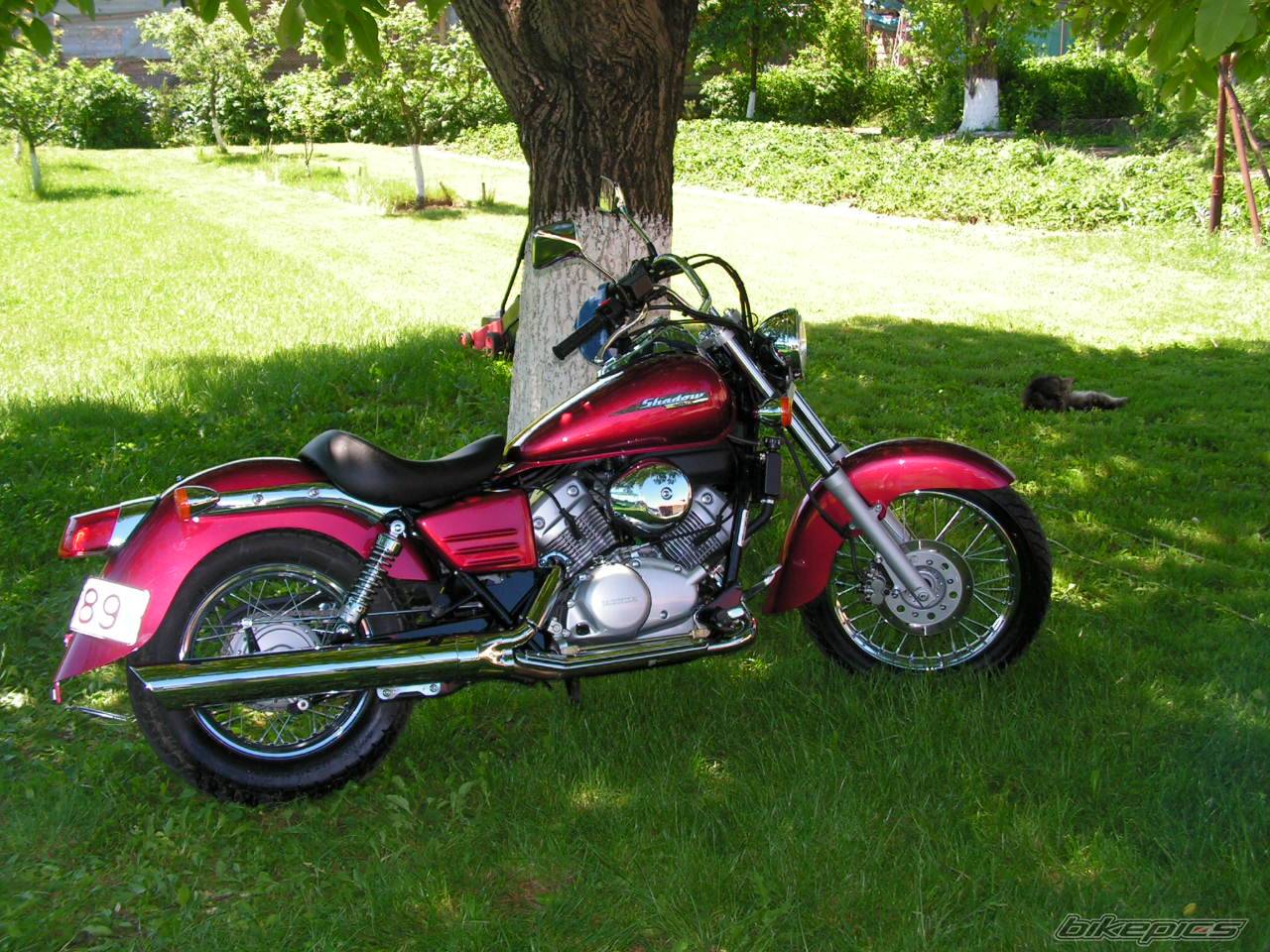 Photo 383725