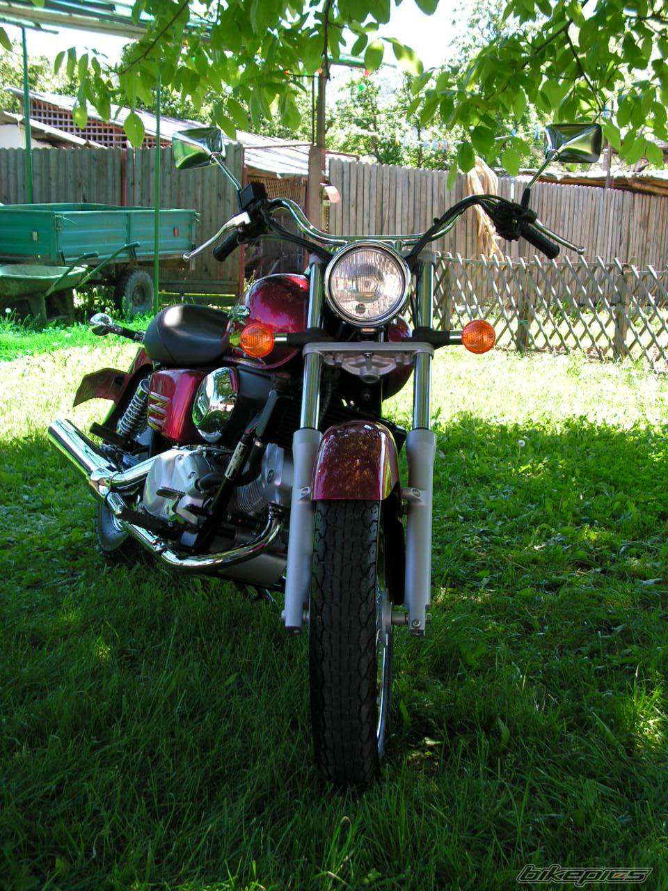 Photo 383726