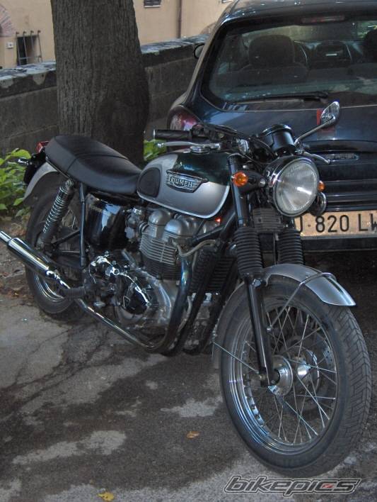 Bike Photo 383904