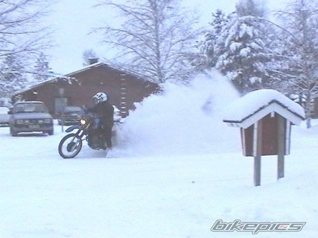 Bike Photo 38398