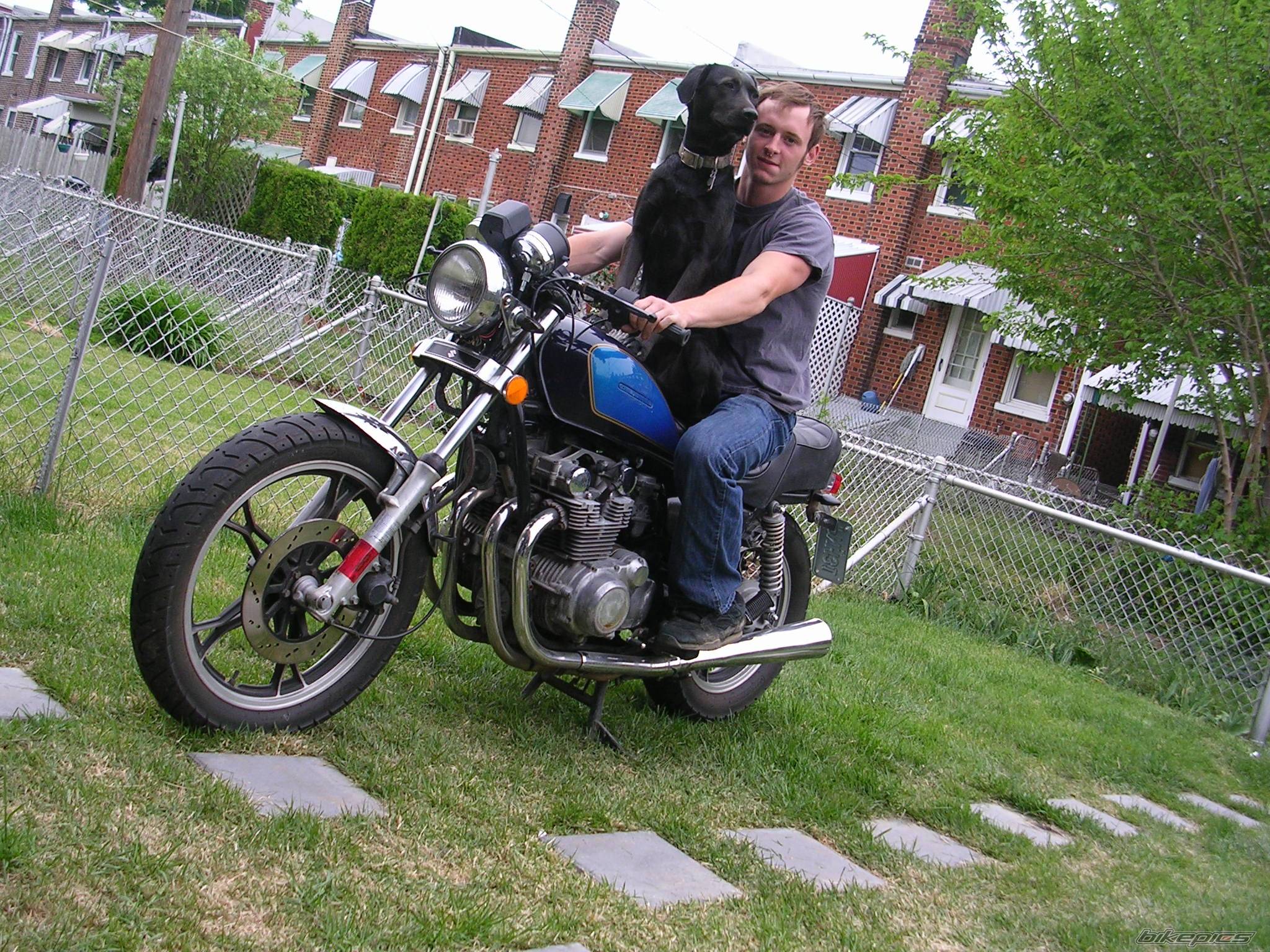 Bike Photo 383985