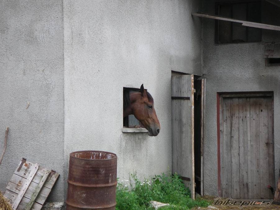 Photo 384007