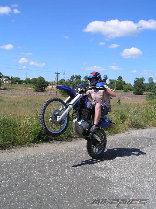 Bike Photo 384044