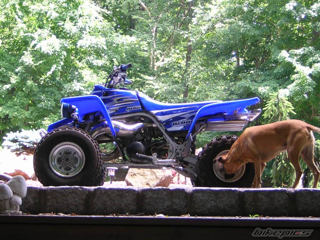 Photo 384659