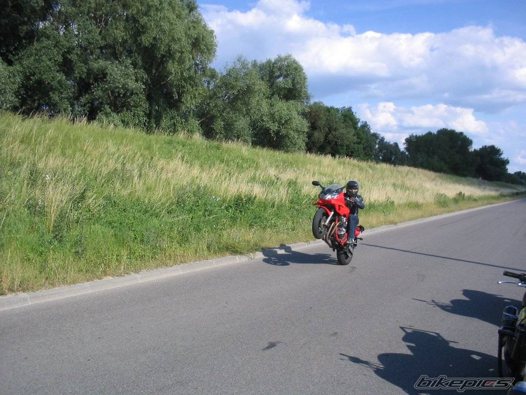 Bike Photo 384728