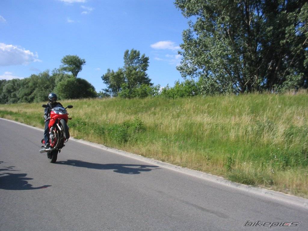 Bike Photo 384730
