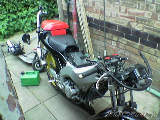 Photo 384801
