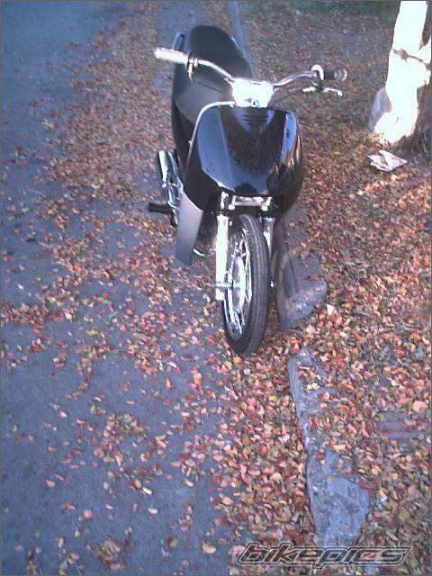 Photo 385369