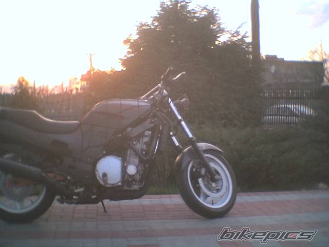 Photo 385423