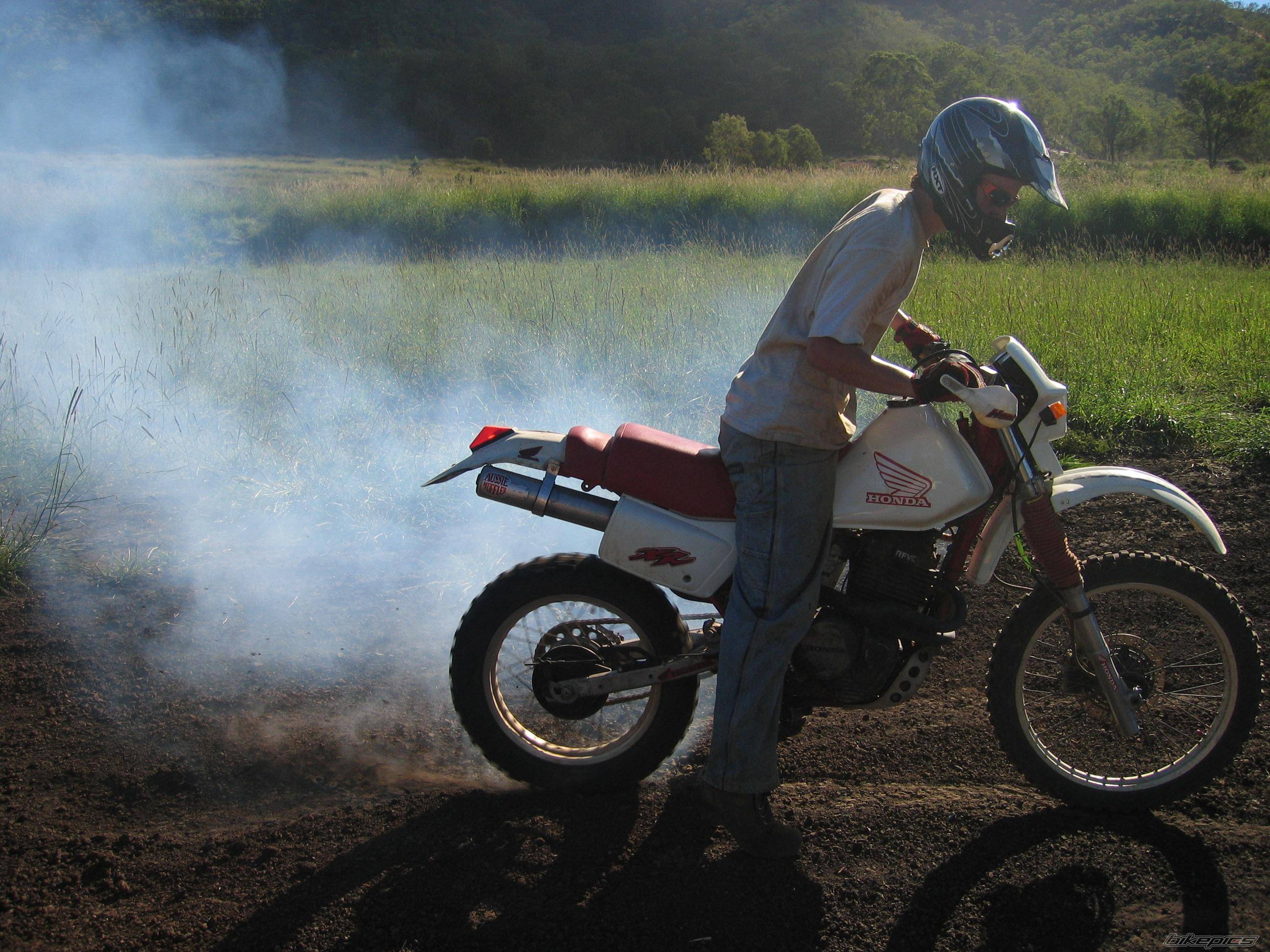 Bike Photo 385468