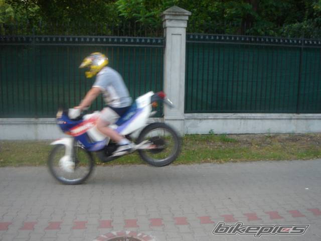 Photo 385543