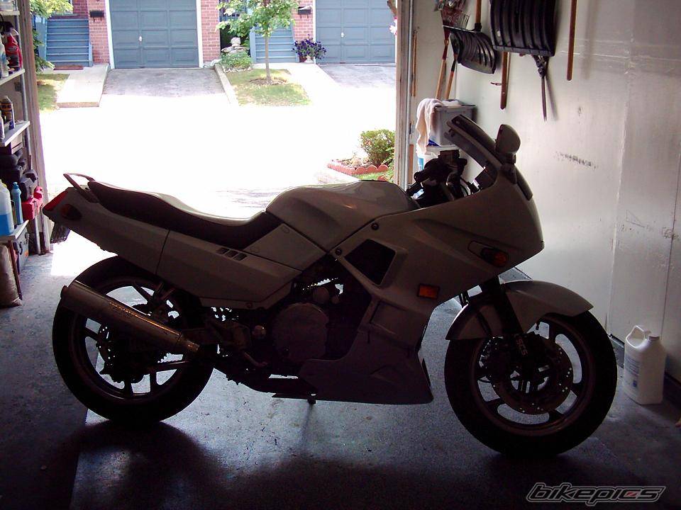 Photo 385621