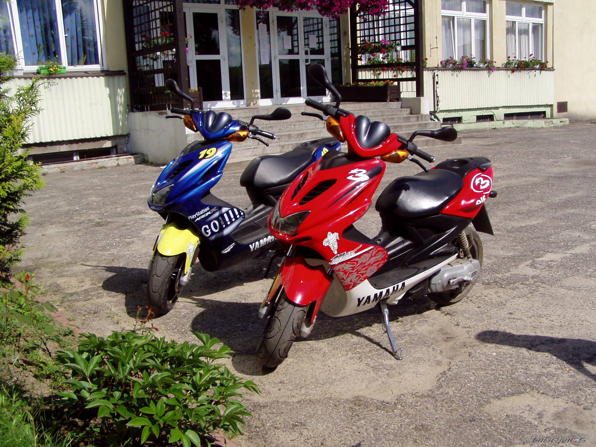 Photo 385642