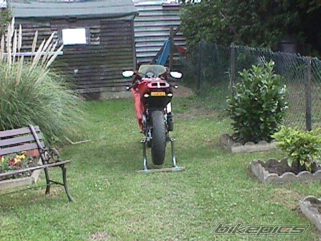 Photo 385655