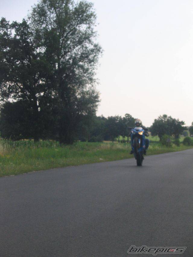 Photo 385679