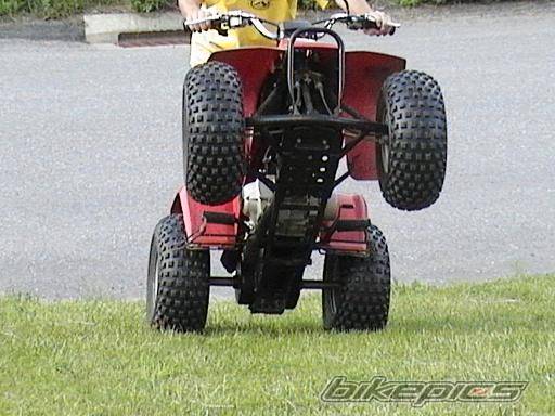 Photo 385876