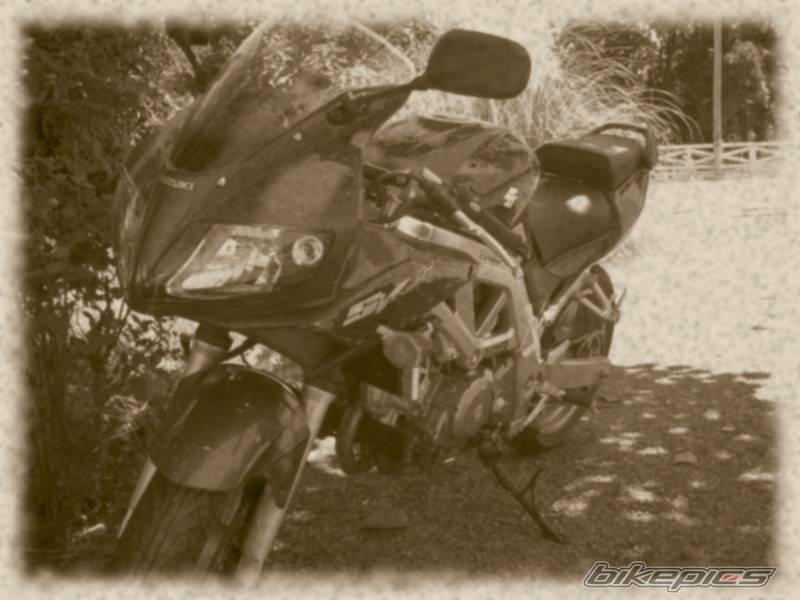 Bike Photo 385936