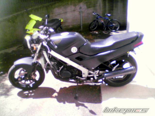 Photo 386275