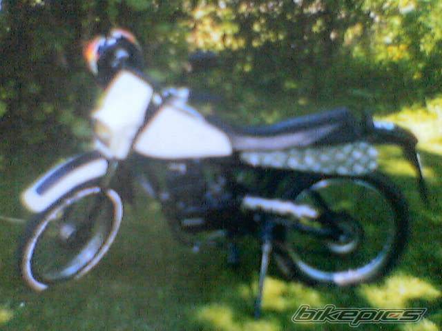 Photo 386398