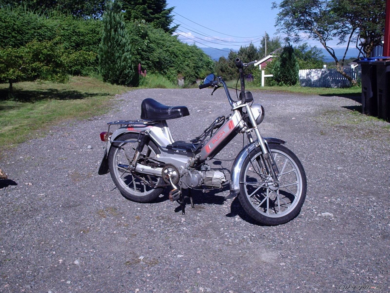 Photo 386509
