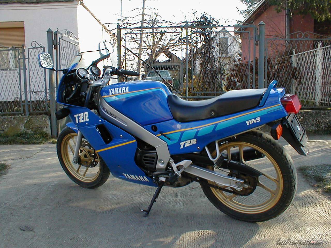 Bike Photo 386739