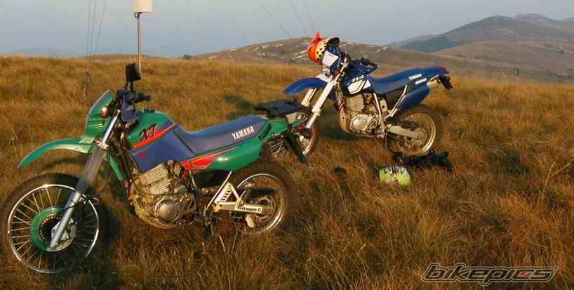 Bike Photo 38686
