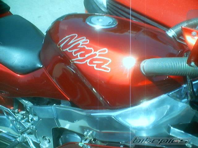 Bike Photo 386885